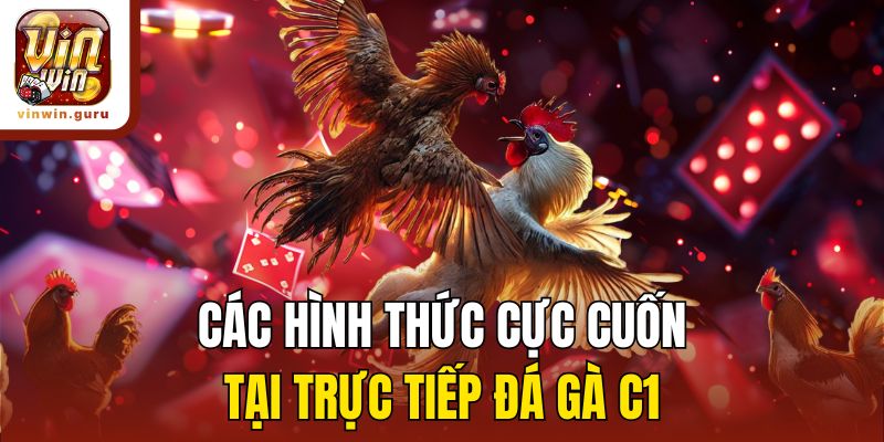 Các hình thức cực cuốn tại trực tiếp đá gà C1