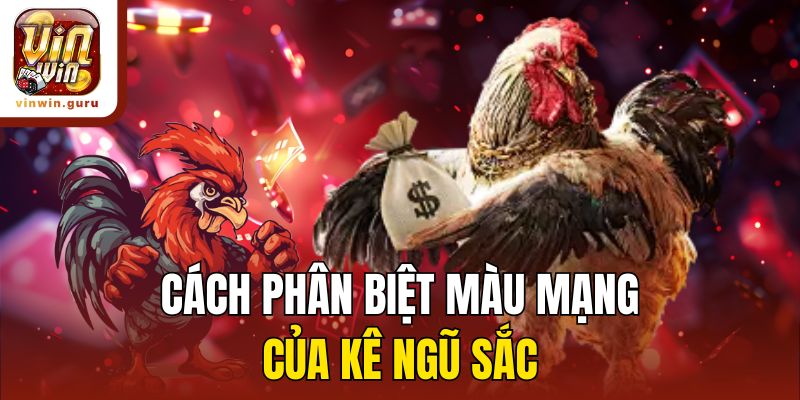 Cách phân biệt màu mạng của kê ngũ sắc
