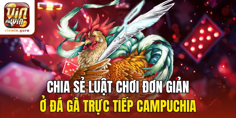 Chia sẻ luật chơi đơn giản ở đá gà trực tiếp Campuchia