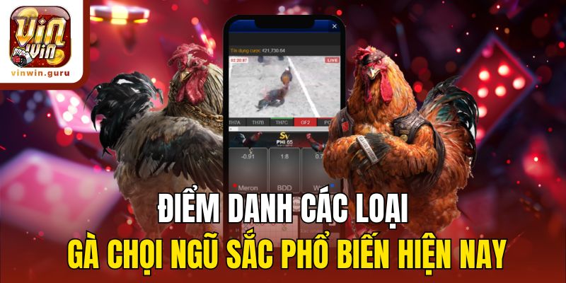 Điểm danh các loại gà chọi ngũ sắc phổ biến hiện nay
