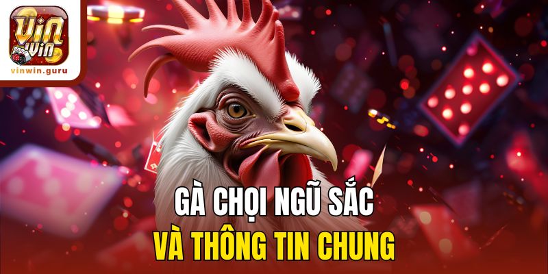 Gà chọi ngũ sắc và thông tin chung