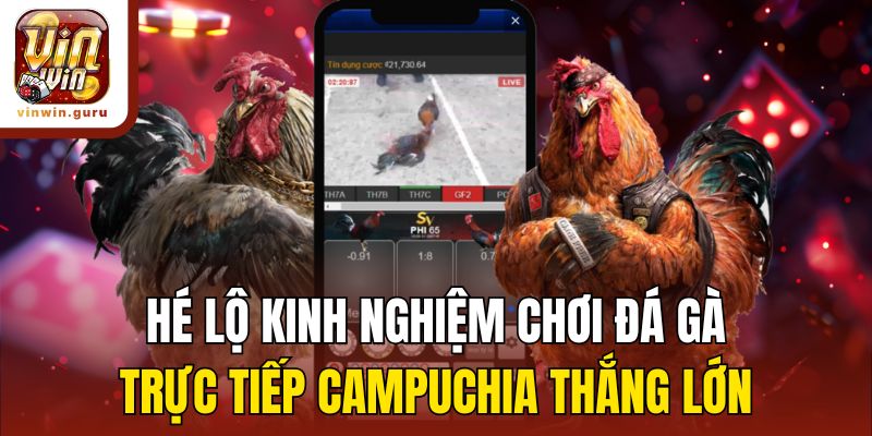 Hé lộ kinh nghiệm chơi đá gà trực tiếp Campuchia thắng lớn