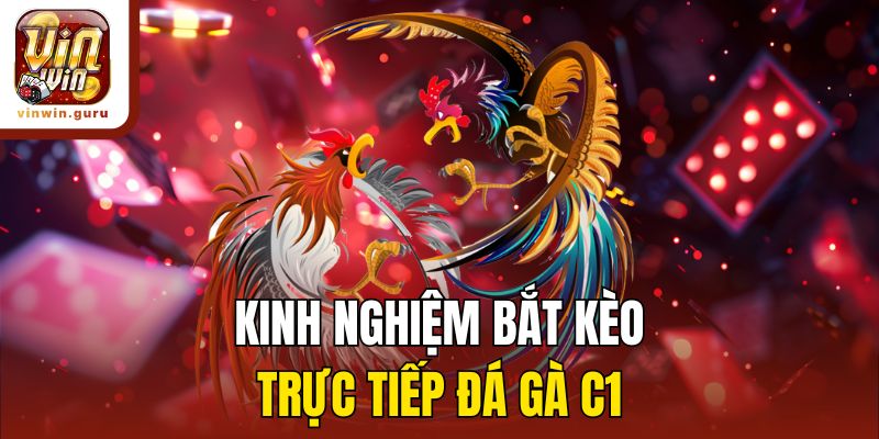 Kinh nghiệm bắt kèo trực tiếp đá gà C1