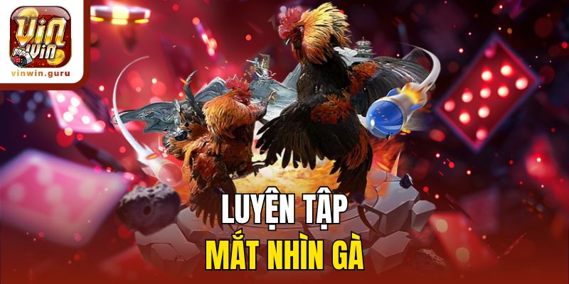 Luyện tập mắt nhìn gà