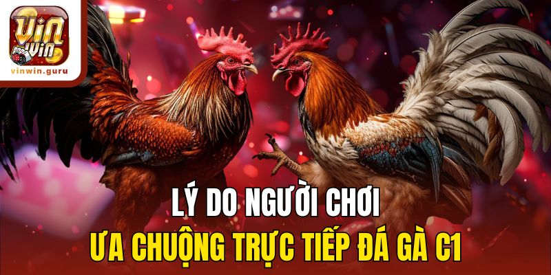 Lý do người chơi ưa chuộng trực tiếp đá gà C1
