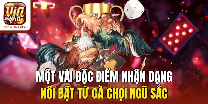 Một vài đặc điểm nhận dạng nổi bật từ gà chọi ngũ sắc