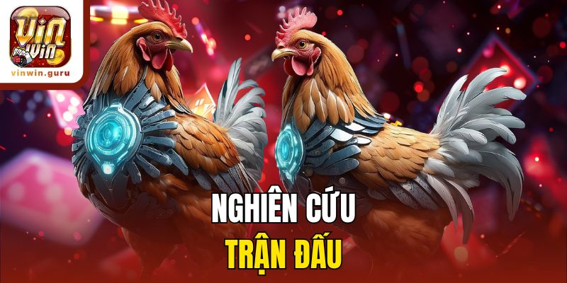 Nghiên cứu trận đấu