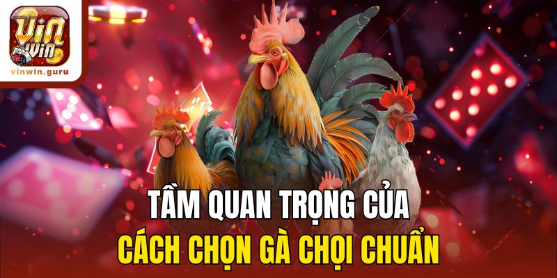 Tầm quan trọng của cách chọn gà chọi chuẩn