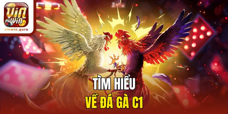 Tìm hiểu về đá gà C1