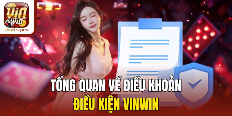 Tổng quan về điều khoản điều kiện Vinwin