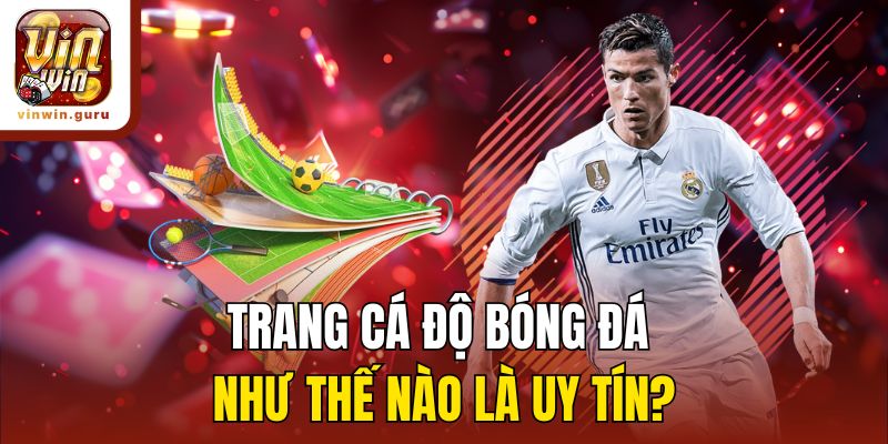 Trang cá độ bóng đá như thế nào là uy tín?