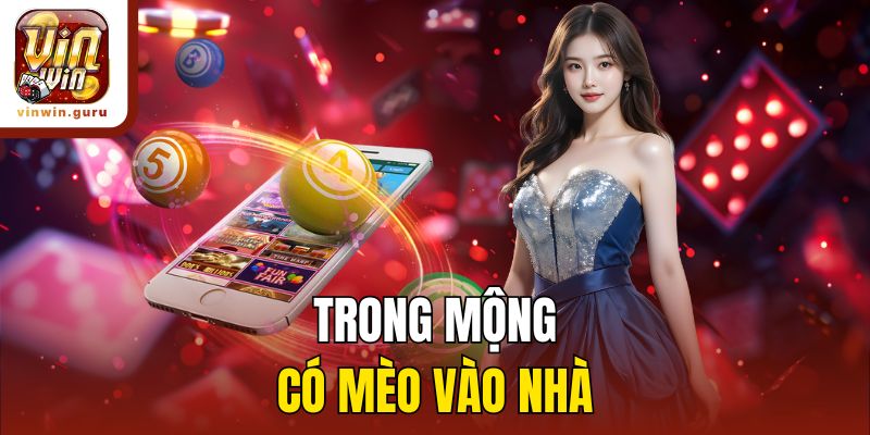 Trong mộng có mèo vào nhà
